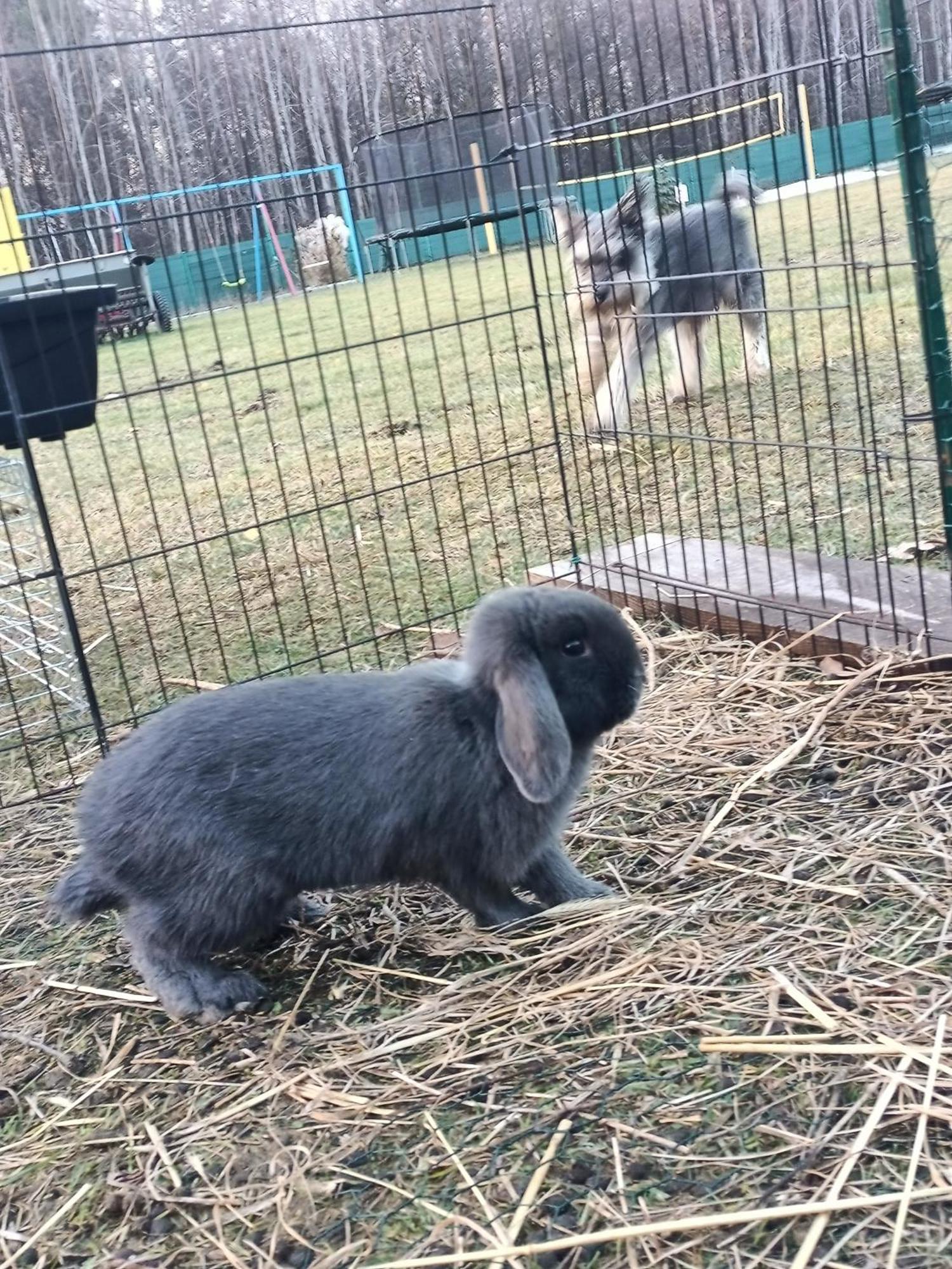 Willa Wypoczynek Sobienie Jeziory Zewnętrze zdjęcie