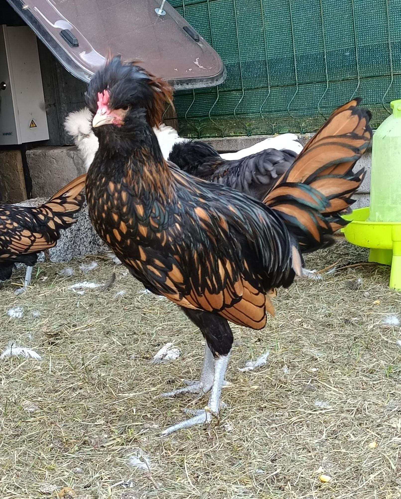 Willa Wypoczynek Sobienie Jeziory Zewnętrze zdjęcie